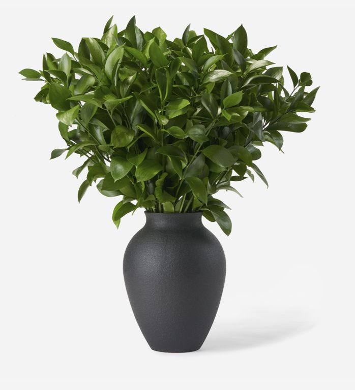 Emerald Hard Ruscus Foliage in a Medium Mayfair Onyx Vase