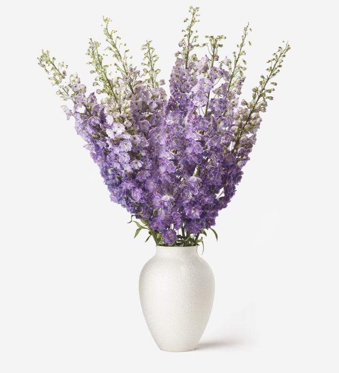 10 Stems in a Medium Mayfair Blanc Vase