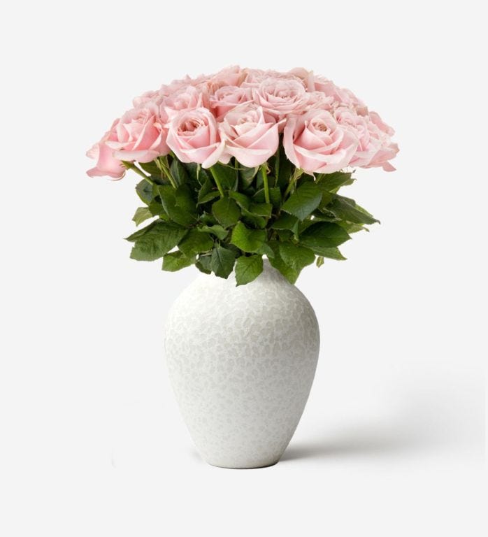 Medium Mayfair Rose Vase Set - Pink Sweet Avalanche Roses & Medium Mayfair Vase in Blanc