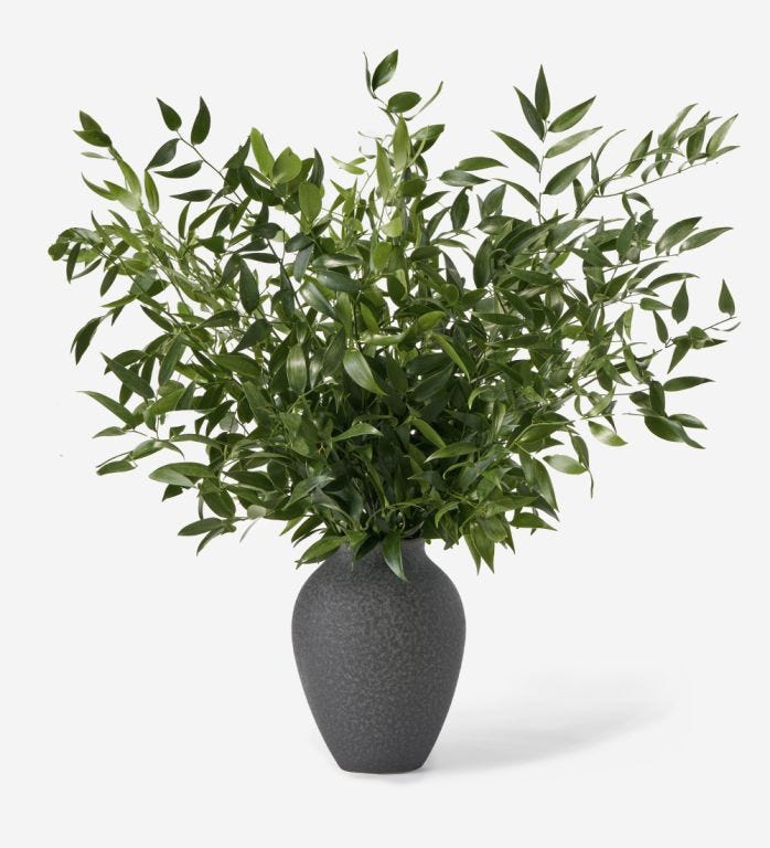 Forest Green Italian Ruscus in a Large Mayfair Onyx Vase