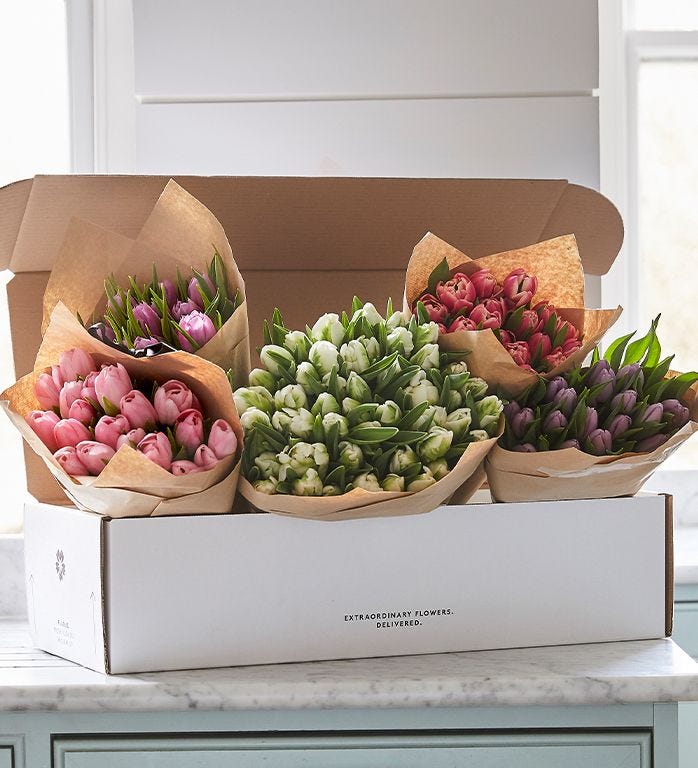 The Seasonal Subscription - Tulips