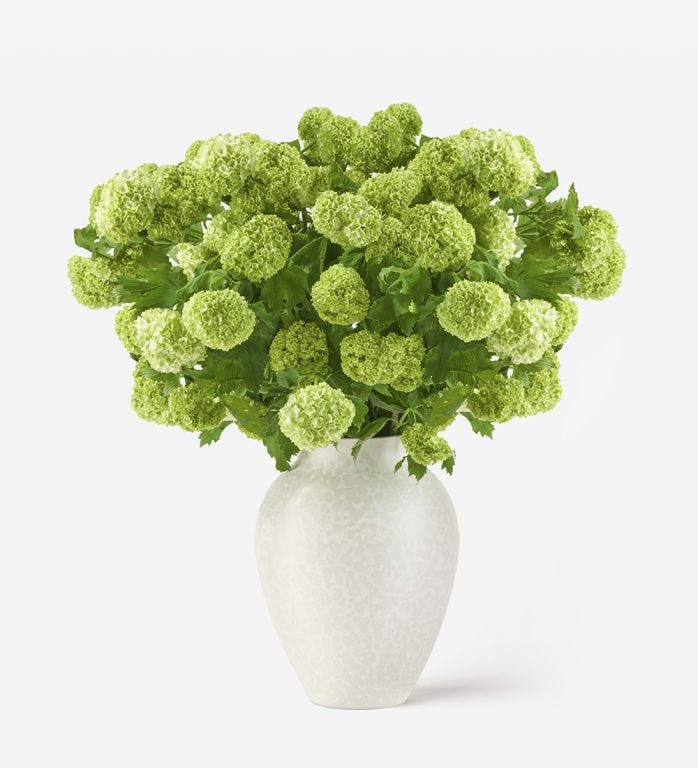 10 Stems in a Medium Mayfair Blanc Vase