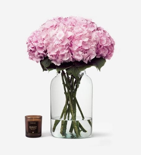 10 Stems in a Large Apothecary Vase - Please note vase and candle are not included