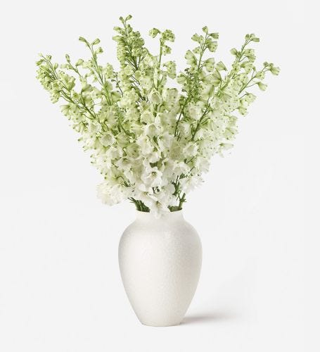 10 Stems in a Medium Mayfair Blanc Vase