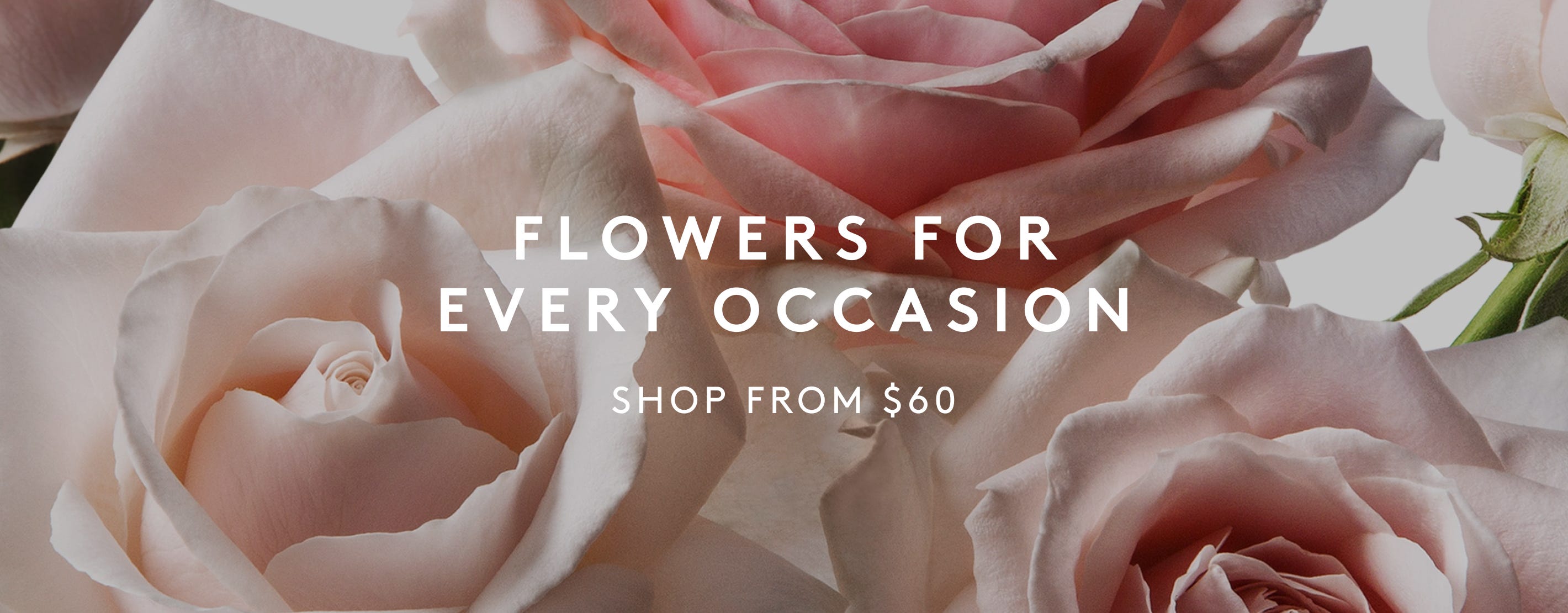 Flowers for Every Occasion