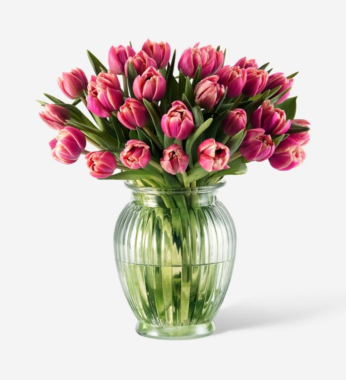 Pink Tulips